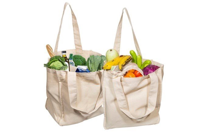 2OrganicCottonCanvasToteBags_700x
